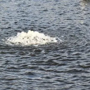 A floating surface aerator on the water
