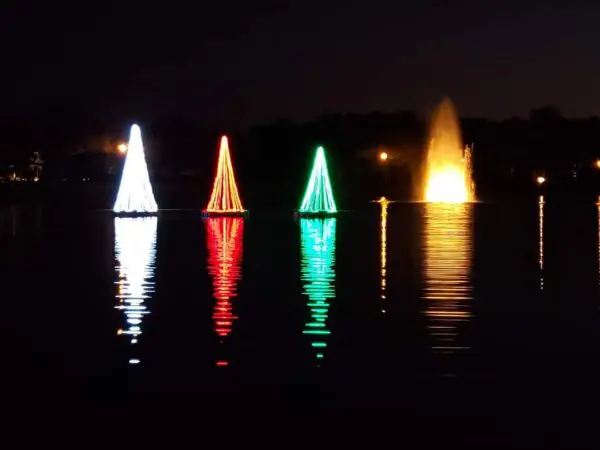 Four floating Christmas trees