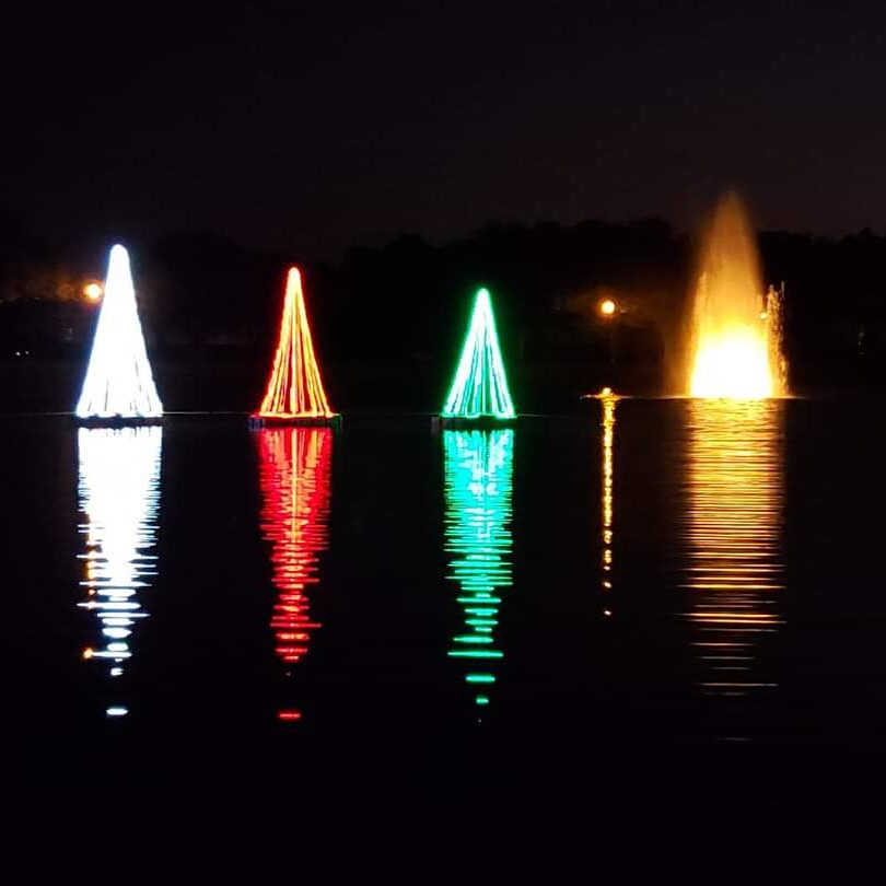 Four floating Christmas trees